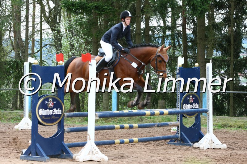 204M9126_Gippetto_Stil Ax.JPG